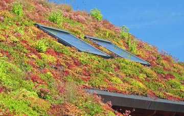 Penhallow living roof systems